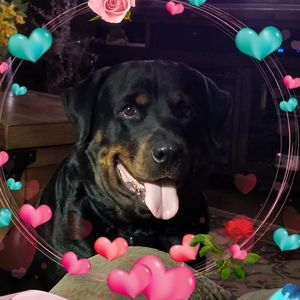 Meet your Posher, Annette